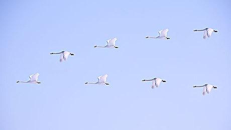 3DM速报：《DOTA2》Ti雪碧战胜LGD Steam周销《喋血复仇》占四席